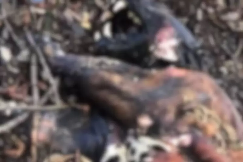 Justiça condena pecuarista a pagar R$ 18 mil por morte de 19 animais no Pantanal