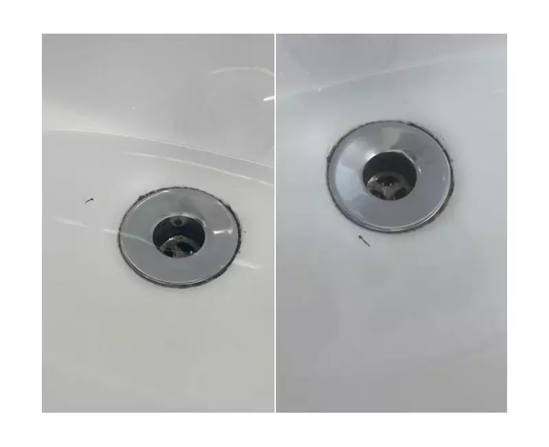 Larvas de Aedes aegypti infestam caixa d'água de UBS no Capão Redondo