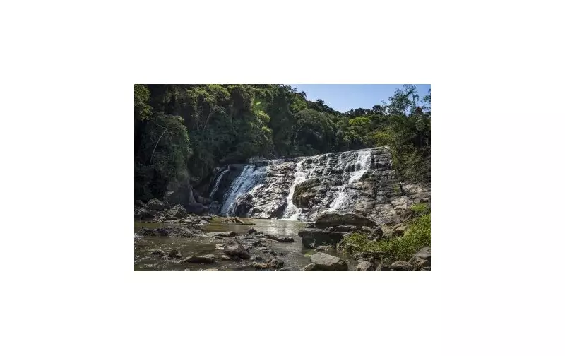 Luiz Alves: Capital da Cachaça e Banana impulsiona turismo e economia