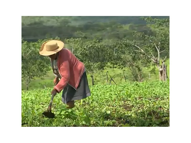 Mais de 2.500 produtores da PB têm até 2026 para atualizar cadastro