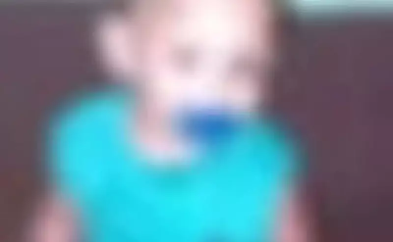 Morte de menino de 3 anos em AL: IML investiga suspeita de picada de cobra