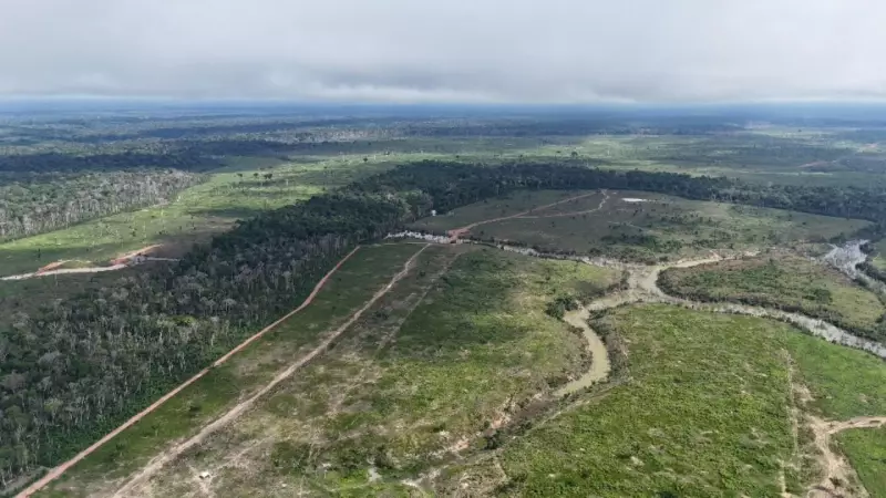 Multa recorde de R$ 24,35 milhões por desmatamento ilegal no AM