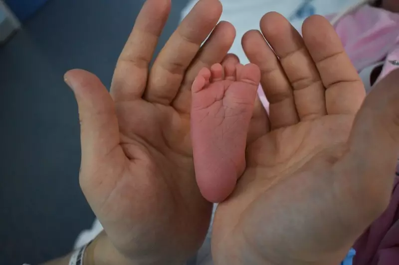 Nomes Raros no Paraná: Descubra os Mais Inusitados Registrados no Estado