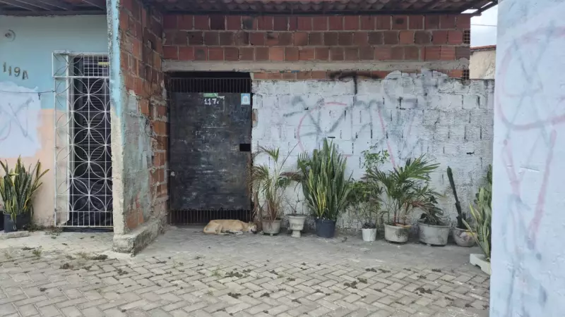 Nordeste Sob Ameaça: Como Facções Criminosas Dominam Territórios e Desafiam o Estado