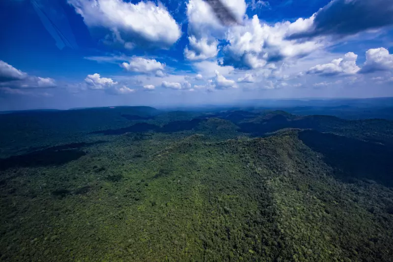 Noruega investe US$ 3 bilhões em fundo global para proteger florestas tropicais