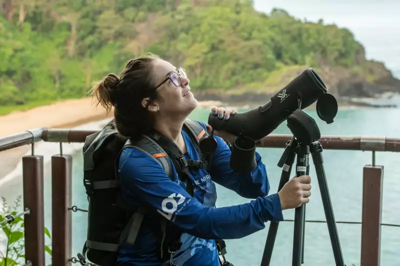 Observação de Aves no Brasil: Setor Movimenta R$ 4,5 Bilhões e Revela Potencial Inexplorado