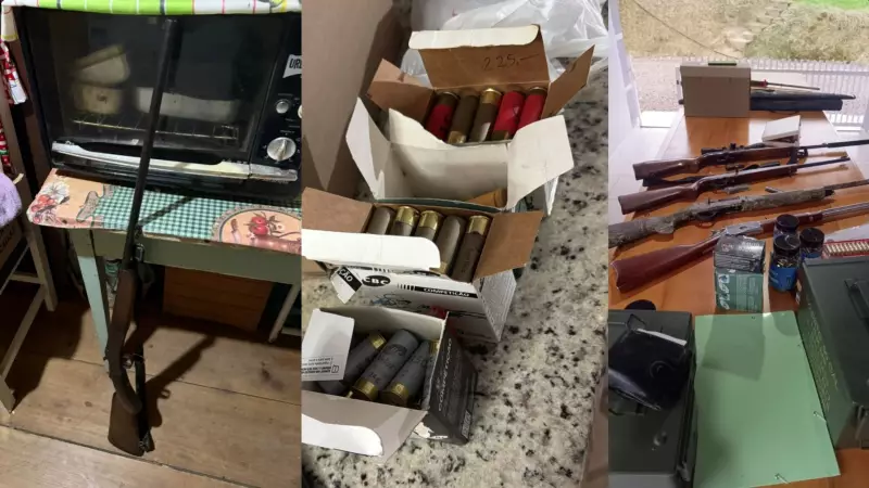 Operação desmantela rede de caça ilegal e venda de carne de animais silvestres em SC; veja detalhes