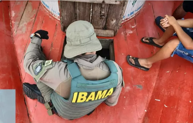 Operação do Ibama aplica R$ 595 mil em multas por crimes ambientais na Amazônia