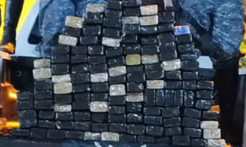 Operação policial apreende 140 kg de maconha em Aracaju: uma das maiores capturas do ano