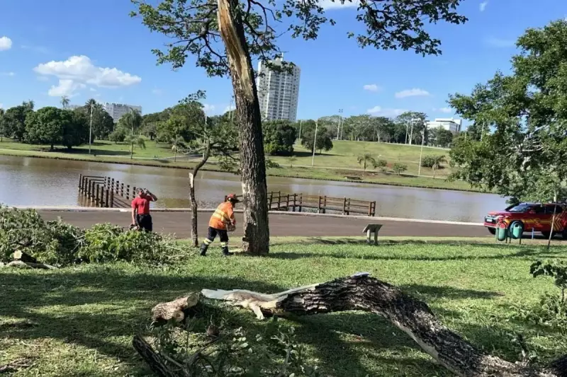 Parque das Nações Indígenas reabre as portas em Campo Grande após temporal causar estragos