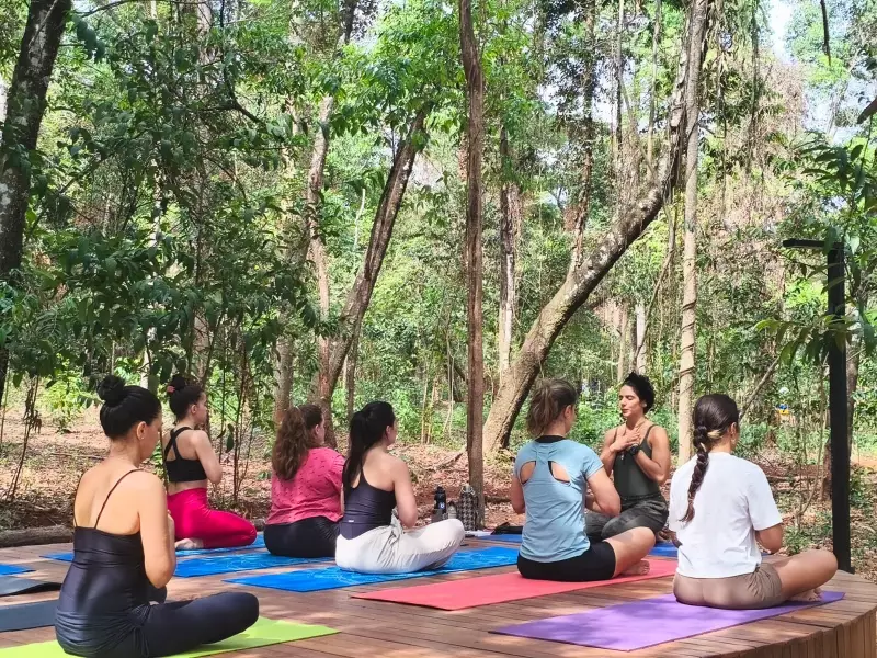 Parque Granja Marileusa: Guia Completo com Trilhas, Aluguel de Bikes e Muito Verde em Uberlândia