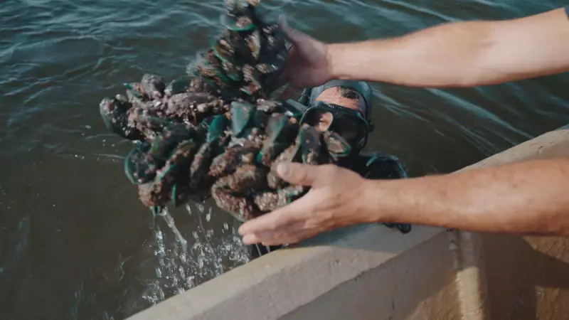 Pescadores da Baía de Guanabara lutam contra excesso de lixo que ameaça sustento