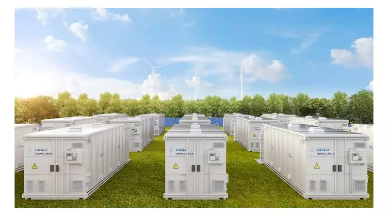 Piauí emite primeiras licenças para armazenamento de energia por baterias