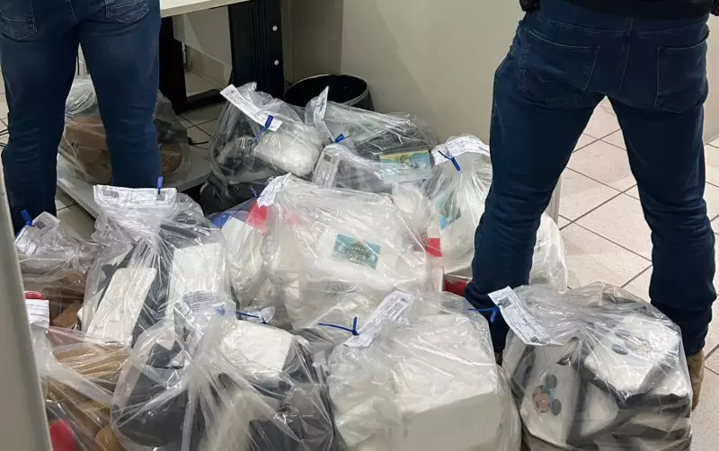 Polícia da Bahia incinera toneladas de drogas no Sudoeste em operação de combate ao narcotráfico
