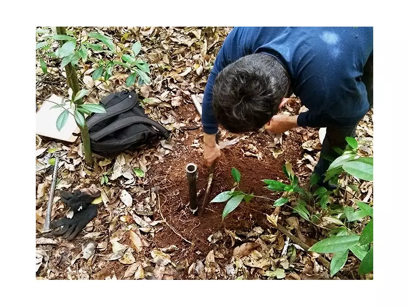 Professor da Unesp apresenta nova metodologia de carbono na COP30