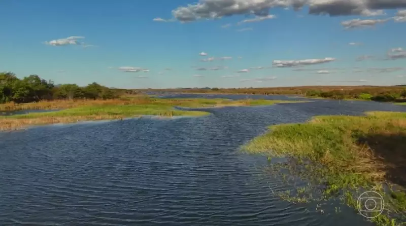 Sertanejos Transformam o Sertão: Conheça as Técnicas que Estão Revolucionando a Convivência com o Semiárido