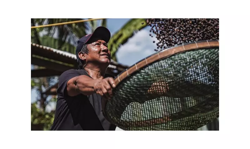 Sicoob na COP30: Cooperativismo Mostra Caminhos para Economia Sustentável na Amazônia