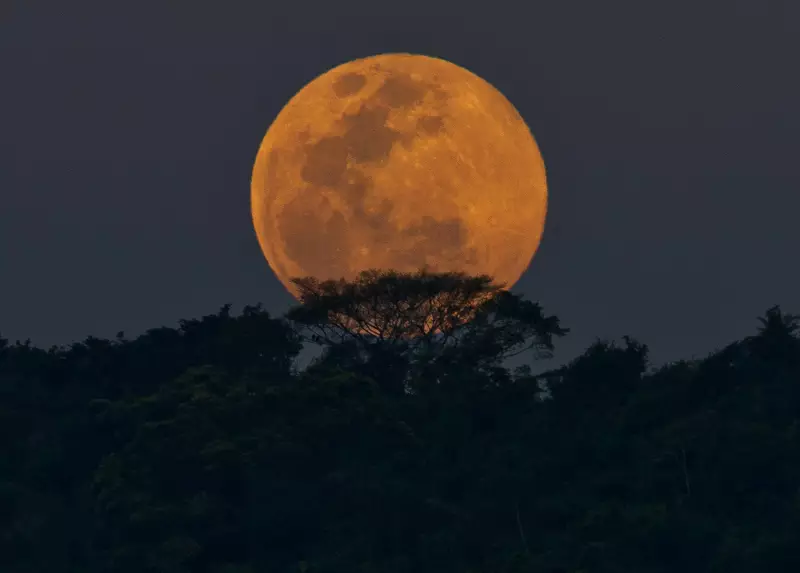 Superlua de Setembro: Não Perca o Esplendor da Última Lua Cheia do Inverno!