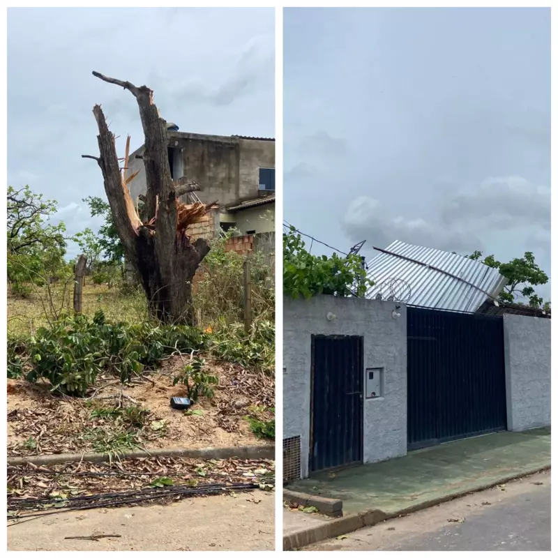 Tempestade em Curvelo: Ventos Fortes e Chuva Causam Estragos e Deixam Rastro de Destruição