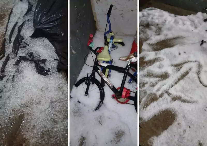 Temporal com granizo assusta Sumaré: estrutura de loja desaba, árvores caem sobre carros e alagamentos tomam ruas