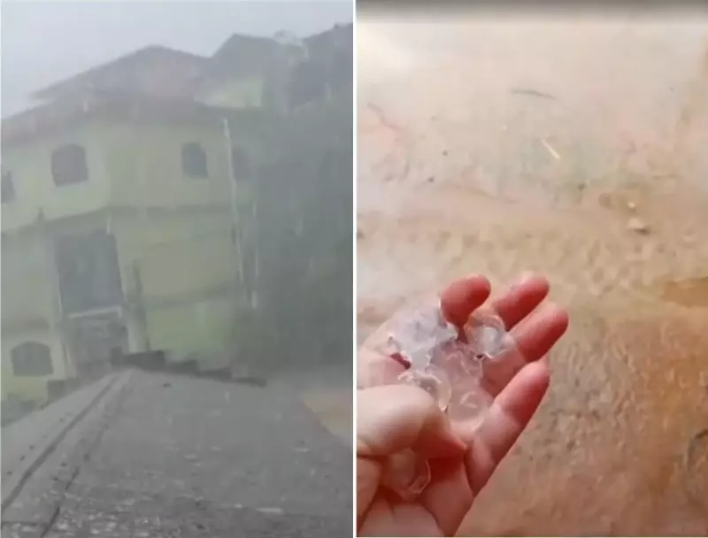 Temporal com granizo destrói casa em Bom Jardim: árvore desaba sobre residência durante tempestade