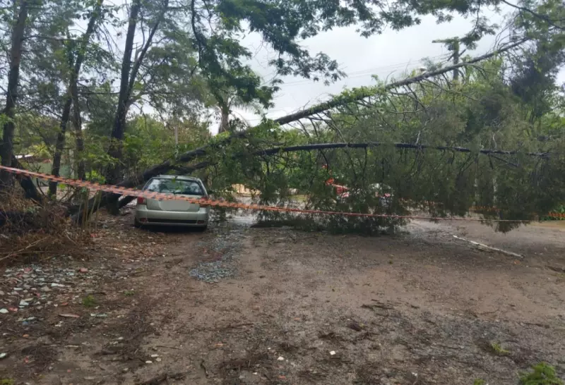 Temporal Devasta Cidades da Região de Itapetininga: Veja os Estragos e Saiba Como se Proteger