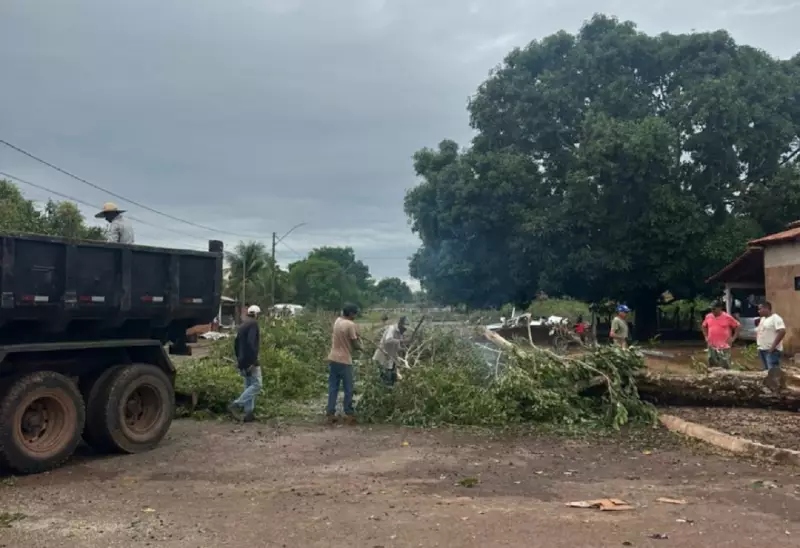 Temporal Devasta Norte do Tocantins: Árvores, Muros e Telhados Não Resistiriam à Fúria da Natureza