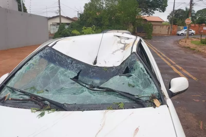 Temporal em Campo Grande: Motorista de App Fica Ferido Após Árvore Esmagar Carro Durante Tempestade