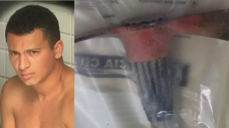 Tentativa de Feminicídio: Madrasta é Atacada a Golpes de Picareta na Cabeça em Vila Velha