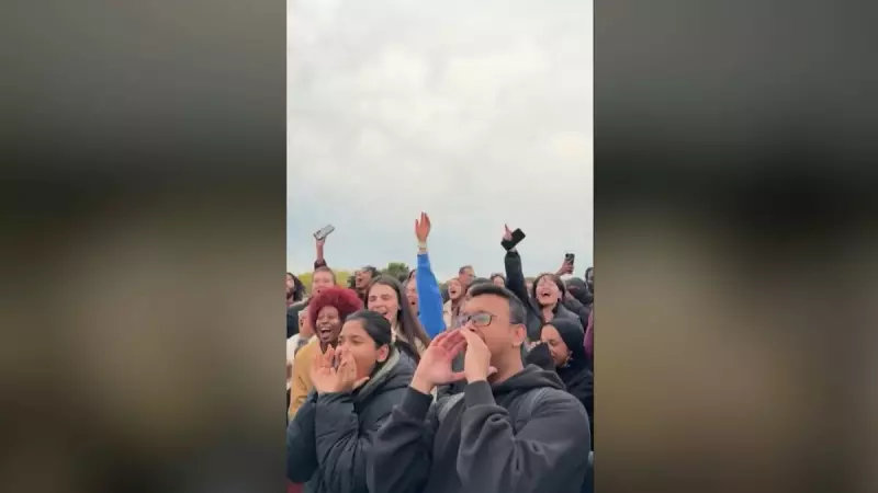 Terapia Inusitada: Britânicos Aliviam Estresse Quebrando Objetos em Salas da Fúria