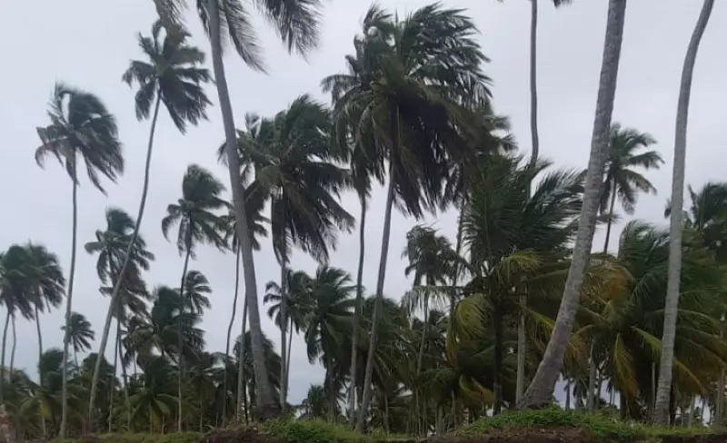 Ventos de até 70 km/h: Defesa Civil de Alagoas emite alerta para os próximos dias