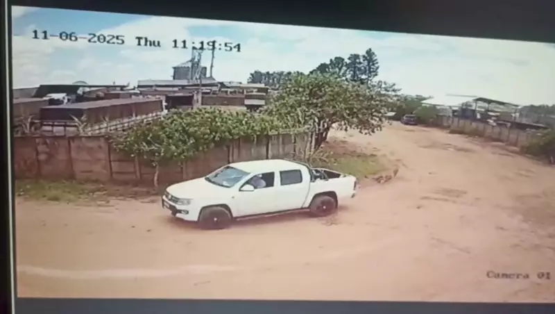 Vice-prefeito invade canil e leva cadela doente em Cerqueira César