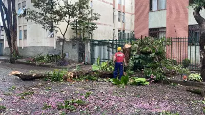 Chuva intensa alaga Marginal do Anel em BH e causa acidentes