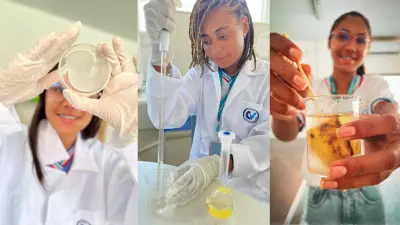 Estudantes da Bahia criam biofilme sustentável que dobra vida útil de frutas e legumes