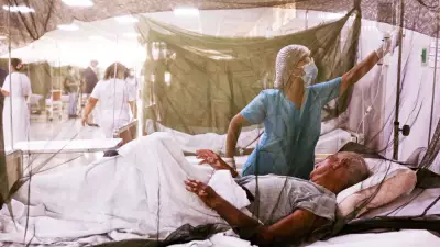 Febre do Oropouche: Surto Preocupa Brasil com Sintomas que se Confundem com Dengue