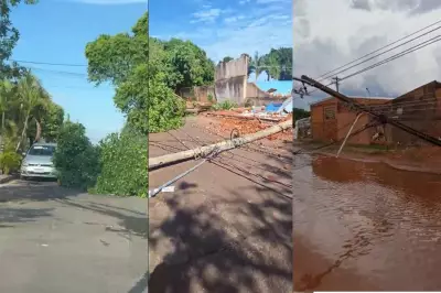 Fúria da Natureza: Mato Grosso do Sul é Castigado por Tempestade com Mais de 1 Milhão de Raios em 24 Horas