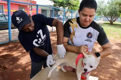 Novos Horários nos Órgãos Públicos de Campo Grande: Confira as Mudanças que Afetam seu Dia a Dia