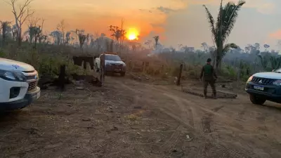 Operação prende 6 por crimes ambientais no Parque Guajará-Mirim
