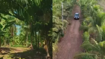 Piauí investe em sustentabilidade com tijolos ecológicos e agrofloresta