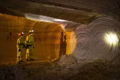 Revelado: Os Investidores por Trás da Aquisição da Única Mina de Potássio do Brasil