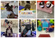 53 cães formam-se em creche pet com cerimônia de colação de grau no AC