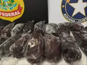 Adolescente apreendido com 19 kg de haxixe em sacos de açaí no aeroporto