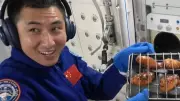 Astronautas Chineses Cozinham Asinha de Frango na Estação Espacial Tiangong | Experimento Culinário no Espaço