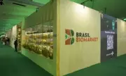 Brasil BioMarket na COP30: R$ 800 mil em vendas com bioeconomia