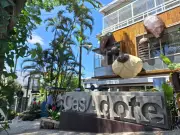 CasAdote: SP inaugura prédio com cães e gatos para adoção em Vila Madalena