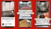Casamento infantil viraliza no TikTok com meninas de 14 anos