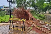 Chuva Devastadora em Presidente Prudente: Árvores Caídas, Muro Desaba e Cidade Fica no Escuro