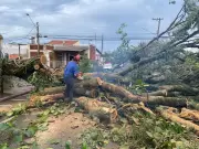 Chuva e Ventos Assolam Assis: Aulas Suspensas e Prejuízos na Cidade