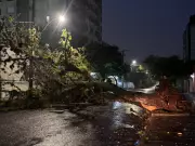 Ciclone no RS: 14 cidades com danos, ventos de 95 km/h e alerta vermelho