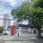 Conselho de Meio Ambiente paralisa corte de árvores no Cambuí e exige investigação em Campinas